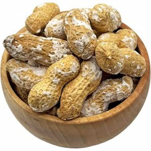 تصویر 1 از قیمت خرید بادام زمینی غلاف دار + فروش ویژه